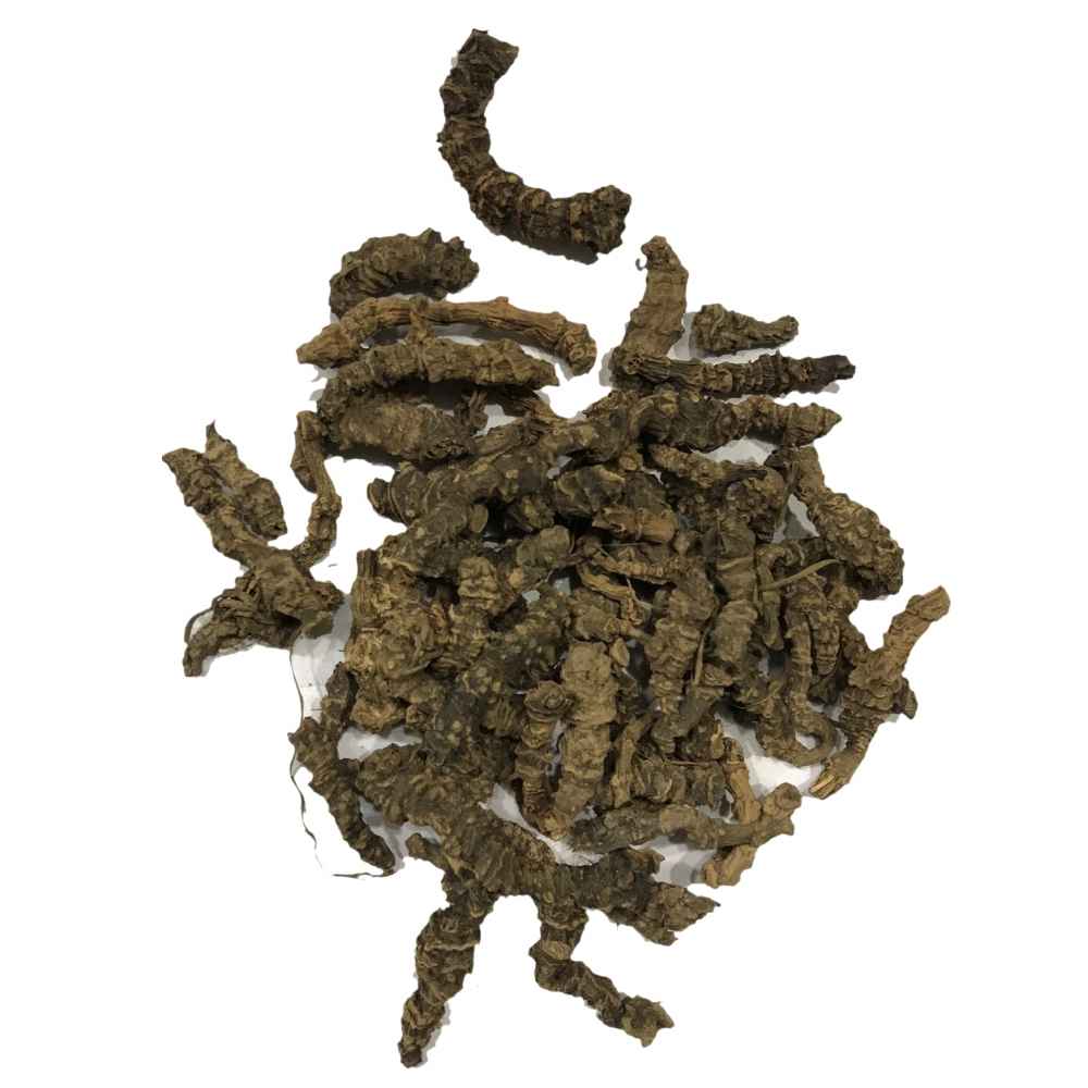 Asaroon | Mushk Bala | Indian Valerian | مشک بالا | اساروں