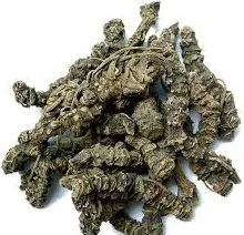 Asaroon | Mushk Bala | Indian Valerian | مشک بالا | اساروں