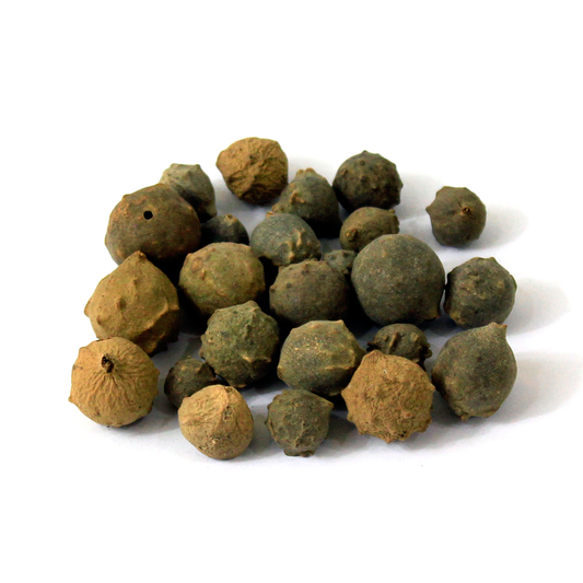 Mazu | Oak Galls |  مازو