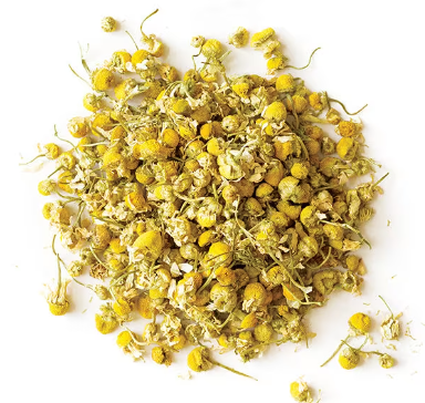 Babona gul | German Chamomile |   بابونہ گل