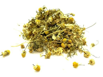 Babona gul | German Chamomile |   بابونہ گل