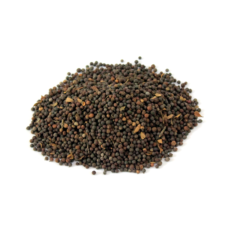 BaoBareng | False Black Pepper | بائو بڑنگ