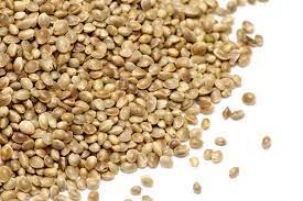 Bhang Seeds | Kimb | Indian Hemp | تخم قیمب | تخم بھنگ