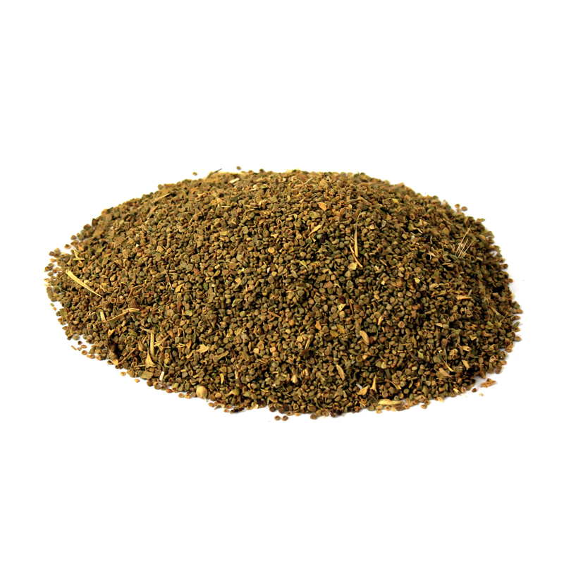 Ajwain Khurasani | Bazrulbanj | Henbane | اجوائن خراسانی | بزرالبنج