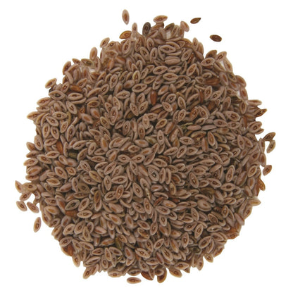 Ispaghol Sabit | Psyllium seeds | اسپغول ثابت