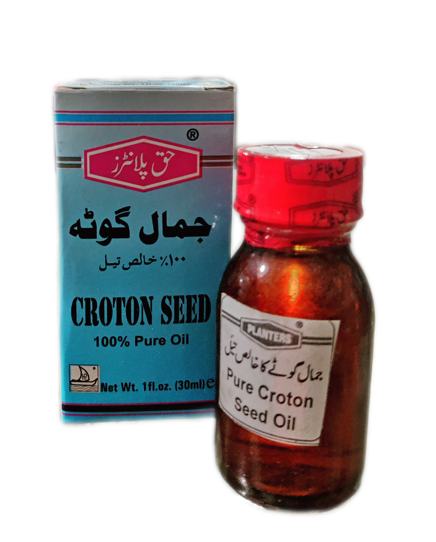 Croton Seed Oil | Jamal Ghota Oil | روغن جمال گھوٹہ