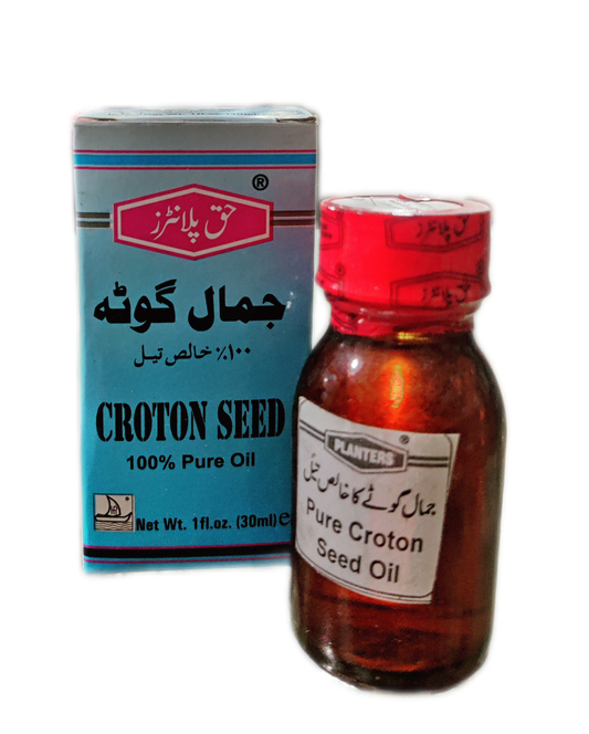 Croton Seed Oil | Jamal Ghota Oil | روغن جمال گھوٹہ