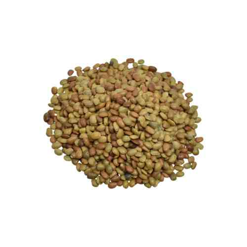 Kalathi Dana | Horse Gram | کلتھی دانہ