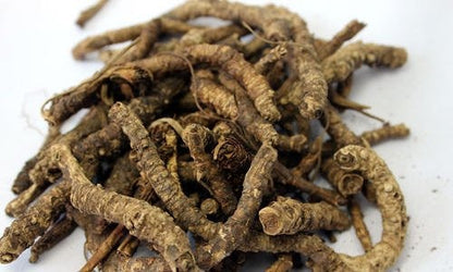 Kutki | Koor | Picrorhiza root Hellebore | کٹکی | کوڑ