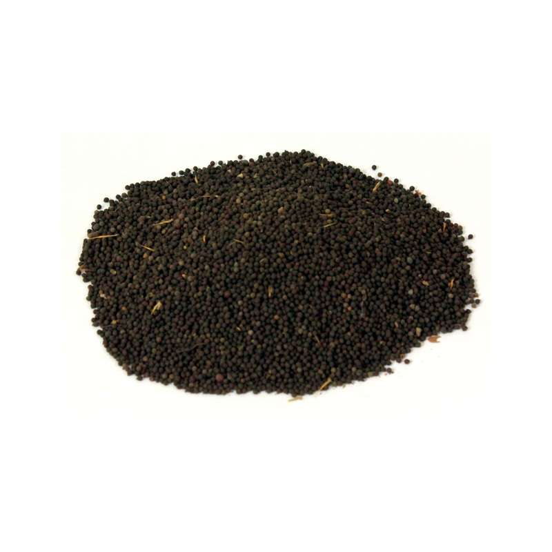 Mexican Poppy Seeds تخم ستیاناسی