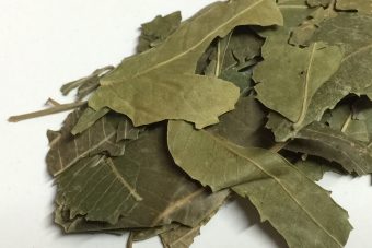 Neem Leaves | Indian Lilac | نیم پتے