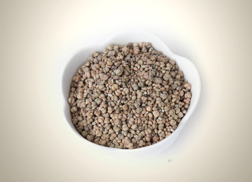 Sadab Seeds | Garden Rue Seeds | تخم صداب