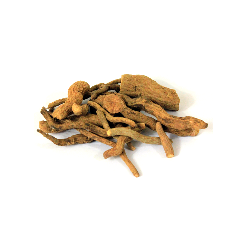 Asrol | Choti Chandan | Snake Root | اسرول | چھوٹی چندن