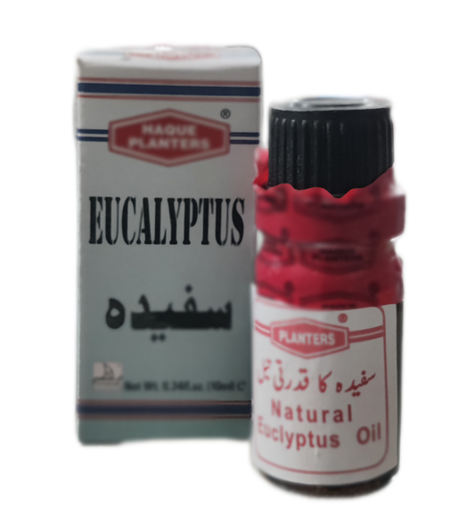 Eucalyptus Oil | Sofeda Oil | روغن سفیدہ