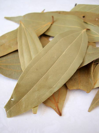 TezPat | Bay-leaf | Cassia Cinnamon Leaves | تیز پات