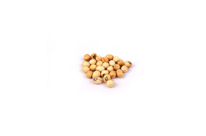 Gunchi sufed | Gunja Sufed | Abrus Precatorius | White Chirmi | Rosary Pea | گھونگچی سفید