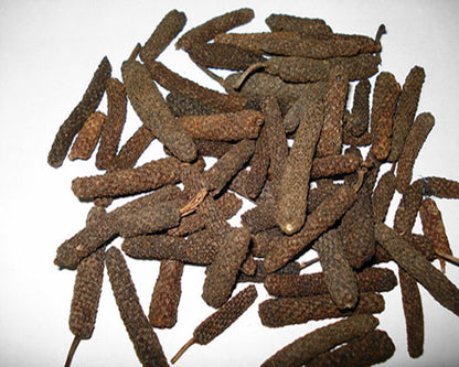 Maghan | Filfil Daraz | Pipli | Java Long Pepper | مگھاں | پپلی | فلفل دراز