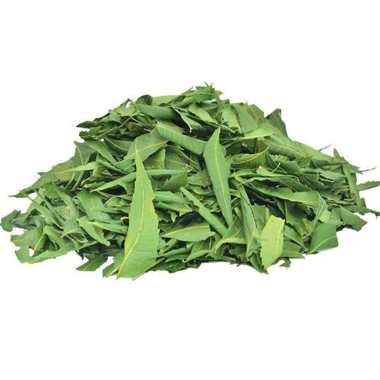 Neem Leaves | Indian Lilac | نیم پتے